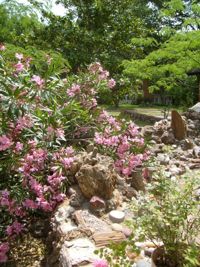 The Rock Garden in the Spring