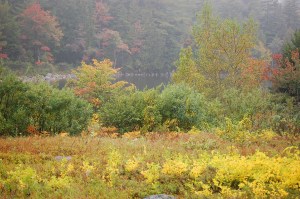 Morning on Jordan Pond
