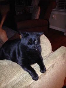 Mimsy says, "Have a great trip, girls!"